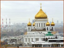 Род человеческий