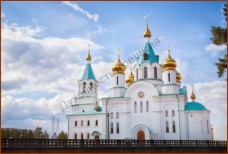 Единственный индус