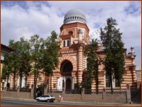Монистические склонности