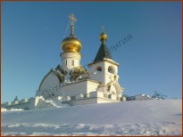 Органическая жизнь