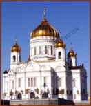 Разумное существо